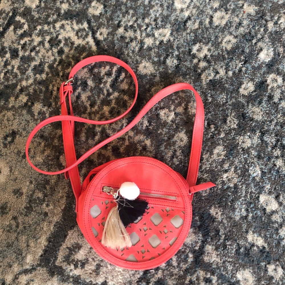 Danielle Nicole Purse